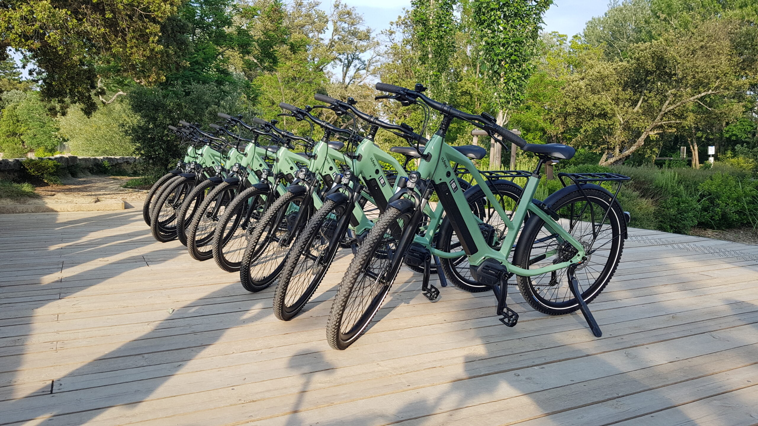 Photo de notre flotte de vélos électriques disponibles à la location dans le Sud Luberon