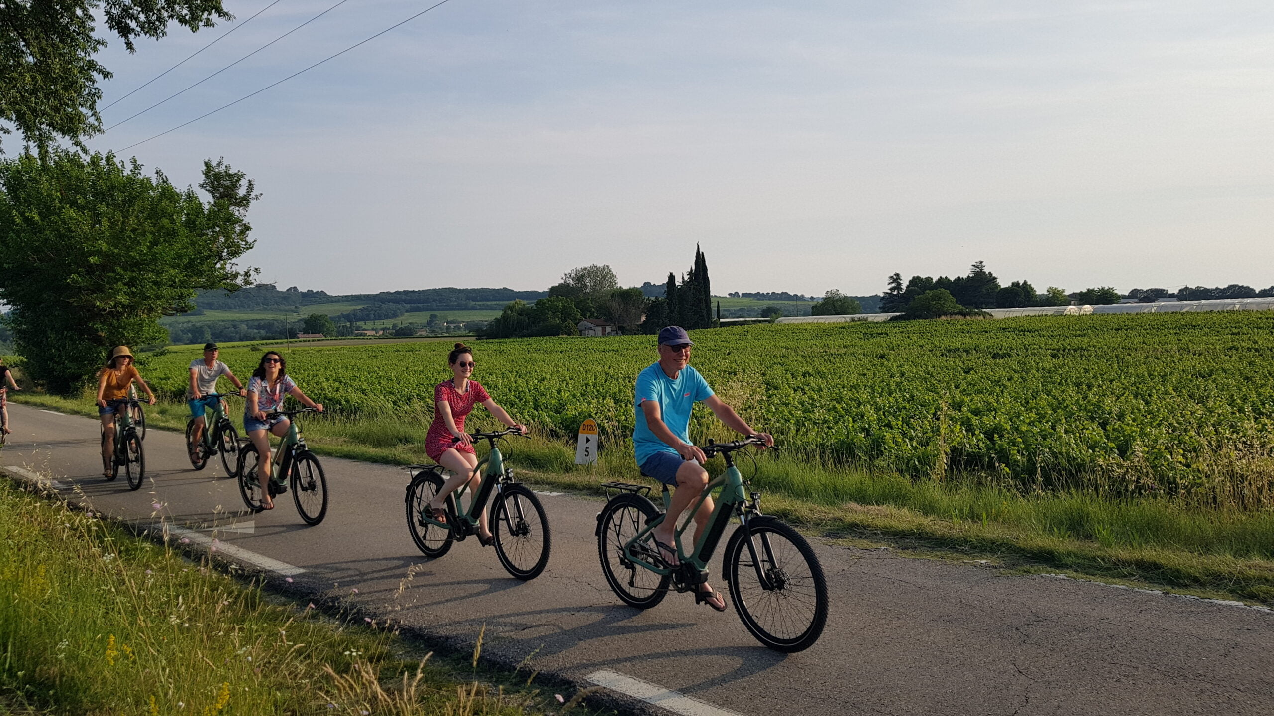Photo de cyclistes sur les routes du Sud Luberon